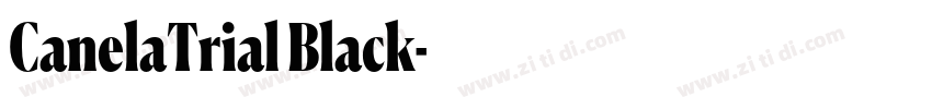 CanelaTrial Black字体转换